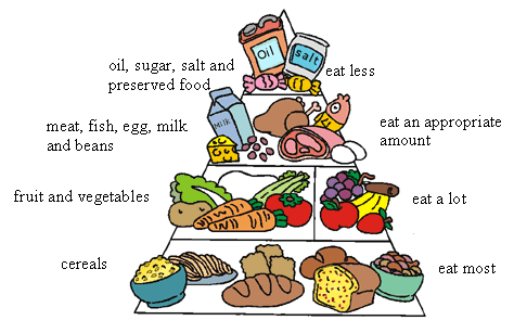 food_chart